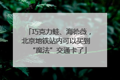 巧克力蛙、海德薇，北京地铁站内可以买到“魔法”交通卡了
