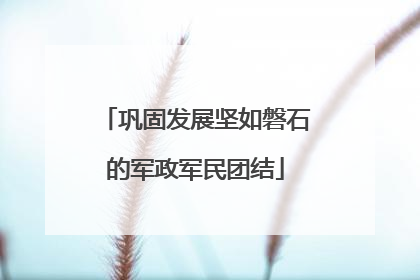 巩固发展坚如磐石的军政军民团结