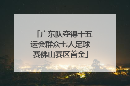 广东队夺得十五运会群众七人足球赛佛山赛区首金