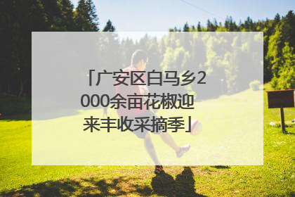 广安区白马乡2000余亩花椒迎来丰收采摘季