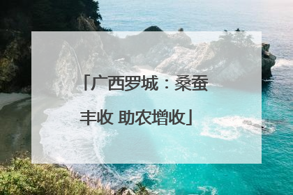 广西罗城：桑蚕丰收 助农增收