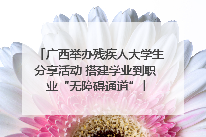 广西举办残疾人大学生分享活动 搭建学业到职业“无障碍通道”