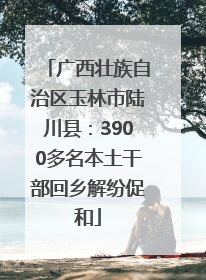 广西壮族自治区玉林市陆川县：3900多名本土干部回乡解纷促和