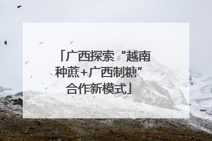 广西探索“越南种蔗+广西制糖”合作新模式
