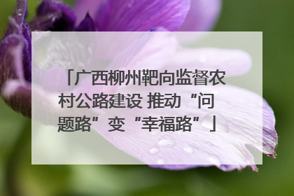 广西柳州靶向监督农村公路建设 推动“问题路”变“幸福路”