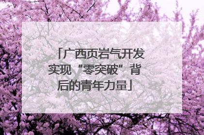广西页岩气开发实现“零突破”背后的青年力量