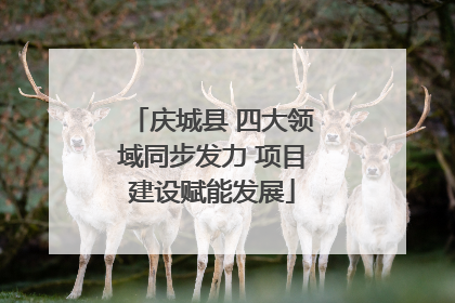 庆城县 四大领域同步发力 项目建设赋能发展
