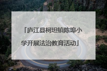 庐江县柯坦镇陈埠小学开展法治教育活动