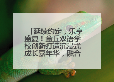延续约定，乐享盛夏！章丘双语学校创新打造沉浸式成长嘉年华，融合音乐节再启幕！