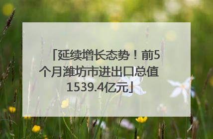 延续增长态势！前5个月潍坊市进出口总值1539.4亿元