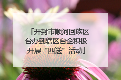 开封市顺河回族区台办到辖区台企积极开展“四送”活动