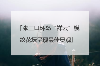 张三口环岛“祥云”模纹花坛呈现最佳景观