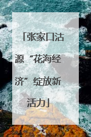 张家口沽源“花海经济”绽放新活力