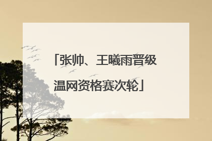 张帅、王曦雨晋级温网资格赛次轮