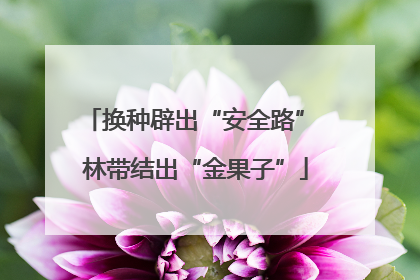 换种辟出“安全路” 林带结出“金果子”