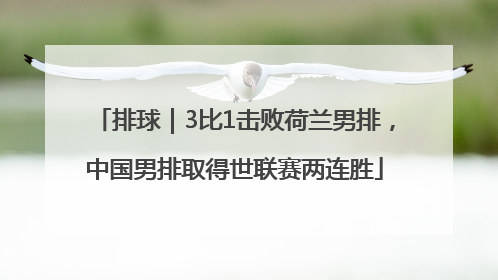 排球｜3比1击败荷兰男排，中国男排取得世联赛两连胜