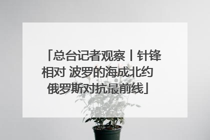 总台记者观察丨针锋相对 波罗的海成北约俄罗斯对抗最前线
