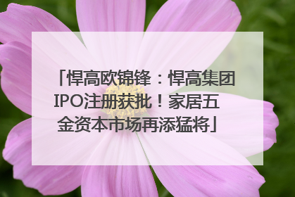 悍高欧锦锋：悍高集团IPO注册获批！家居五金资本市场再添猛将