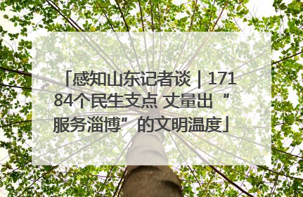 感知山东记者谈｜17184个民生支点 丈量出“服务淄博”的文明温度
