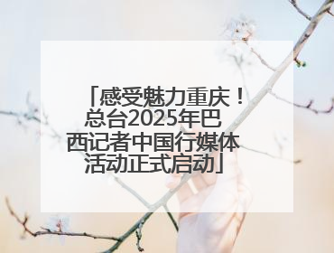 感受魅力重庆！总台2025年巴西记者中国行媒体活动正式启动