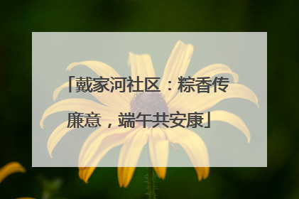 戴家河社区：粽香传廉意，端午共安康