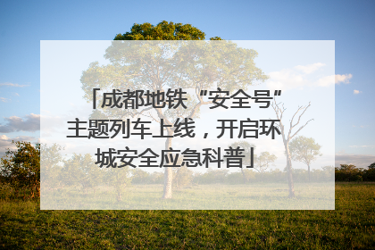 成都地铁“安全号”主题列车上线，开启环城安全应急科普