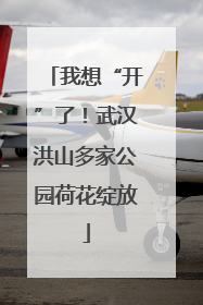 我想“开”了！武汉洪山多家公园荷花绽放