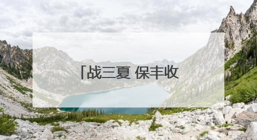 战三夏 保丰收丨新乡县：20万亩小麦种子田开启大规模收割