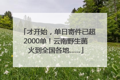 才开始，单日寄件已超2000单！云南野生菌火到全国各地……