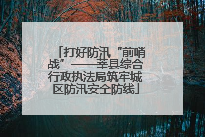 打好防汛“前哨战”——莘县综合行政执法局筑牢城区防汛安全防线