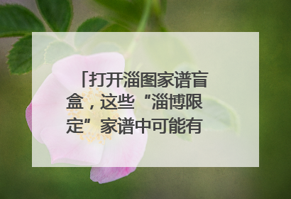 打开淄图家谱盲盒，这些“淄博限定”家谱中可能有你的隐藏身份