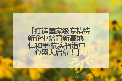 打造国家级专精特新企业培育新高地 仁和里·杭实智造中心盛大启幕！