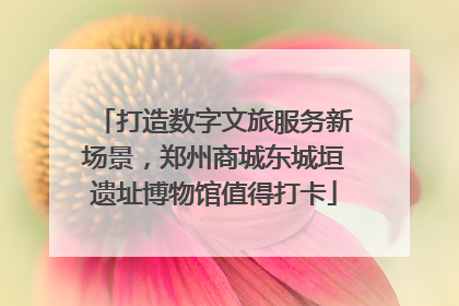 打造数字文旅服务新场景，郑州商城东城垣遗址博物馆值得打卡
