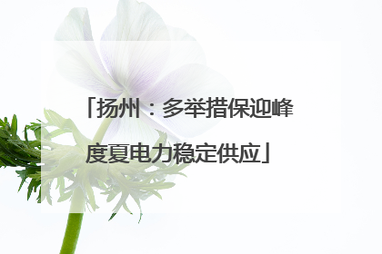 扬州：多举措保迎峰度夏电力稳定供应