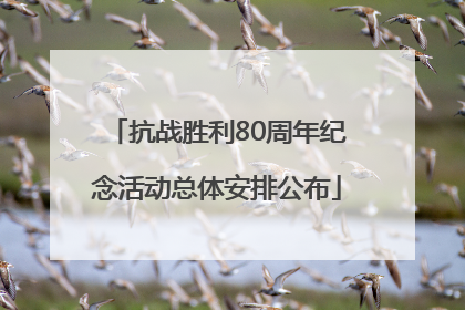 抗战胜利80周年纪念活动总体安排公布