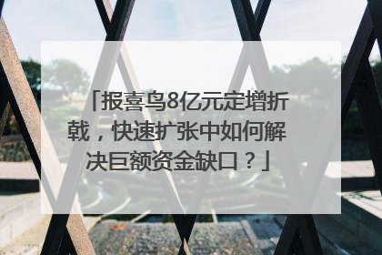报喜鸟8亿元定增折戟，快速扩张中如何解决巨额资金缺口？