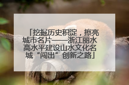 挖掘历史积淀，擦亮城市名片——浙江丽水高水平建设山水文化名城“闯出”创新之路