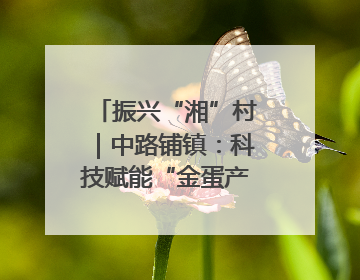 振兴“湘”村｜中路铺镇：科技赋能“金蛋产业” 全链驱动乡村振兴