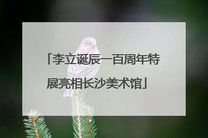李立诞辰一百周年特展亮相长沙美术馆