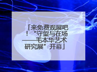 来免费观展吧！“守望与在场——毛本华艺术研究展”开幕