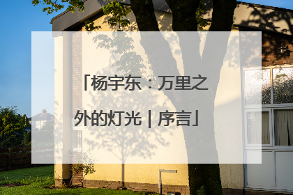 杨宇东：万里之外的灯光｜序言