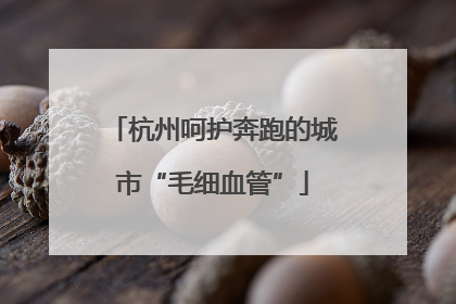 杭州呵护奔跑的城市“毛细血管”