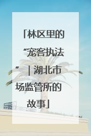 林区里的“宠客执法”｜湖北市场监管所的故事