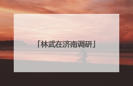 林武在济南调研