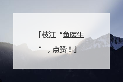 枝江“鱼医生”，点赞！