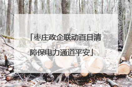 枣庄政企联动百日清障保电力通道平安