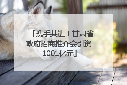 携手共进！甘肃省政府招商推介会引资1001亿元