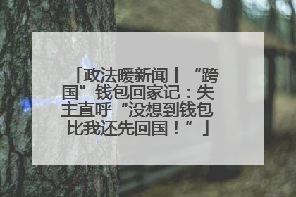 政法暖新闻丨“跨国”钱包回家记：失主直呼“没想到钱包比我还先回国！”