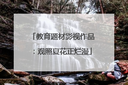 教育题材影视作品：观照夏花正烂漫