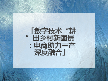 数字技术“耕”出乡村新图景：电商助力三产深度融合